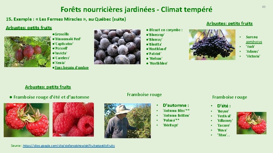 Forêts nourricières jardinées - Climat tempéré 15. Exemple : « Les Fermes Miracles »