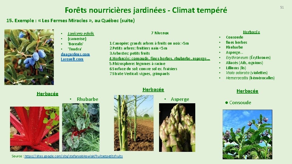 Forêts nourricières jardinées - Climat tempéré 51 15. Exemple : « Les Fermes Miracles