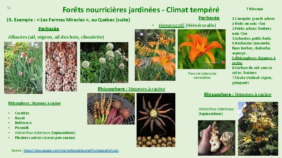 Forêts nourricières jardinées - Climat tempéré 52 15. Exemple : « Les Fermes Miracles