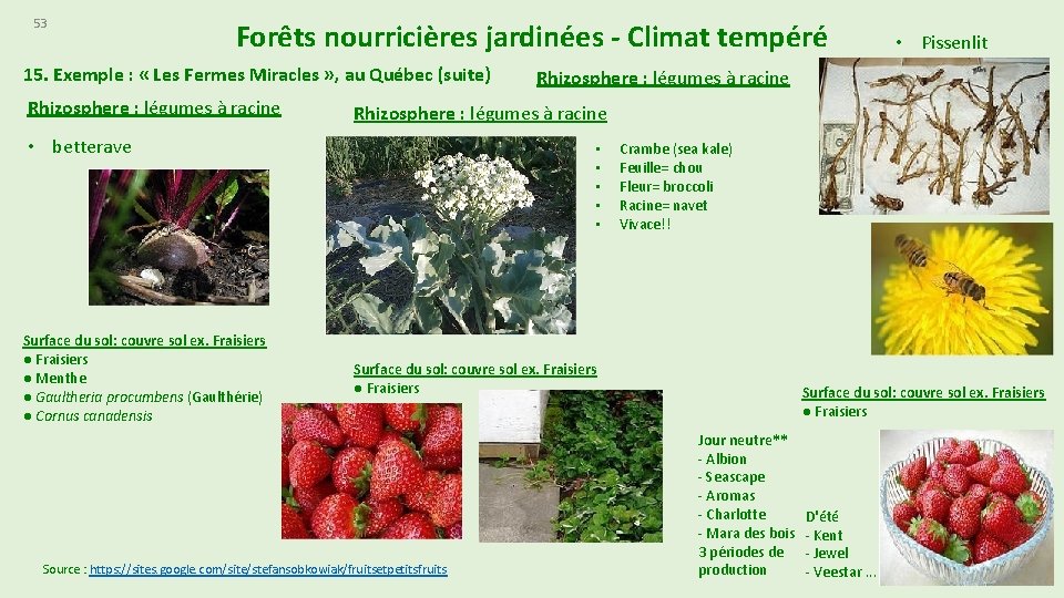 53 Forêts nourricières jardinées - Climat tempéré 15. Exemple : « Les Fermes Miracles