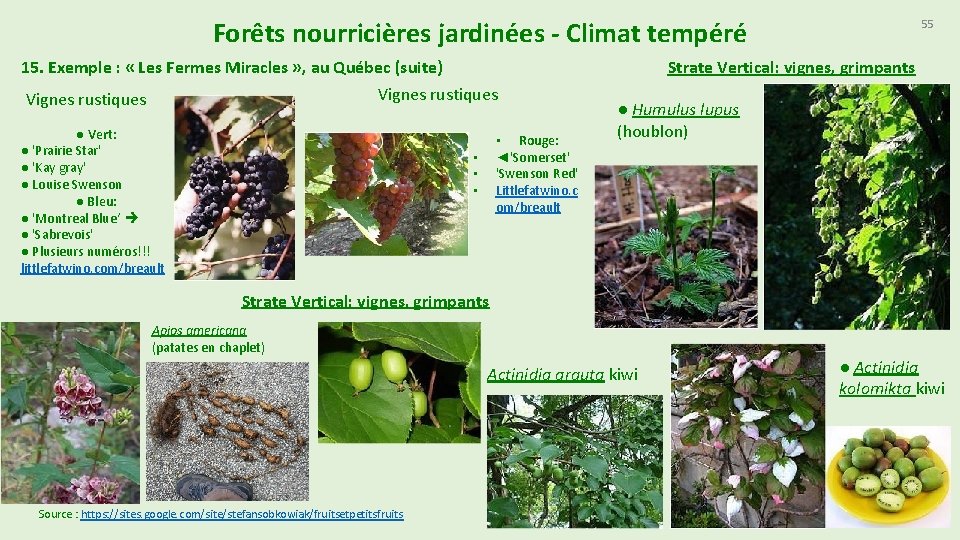 Forêts nourricières jardinées - Climat tempéré 15. Exemple : « Les Fermes Miracles »