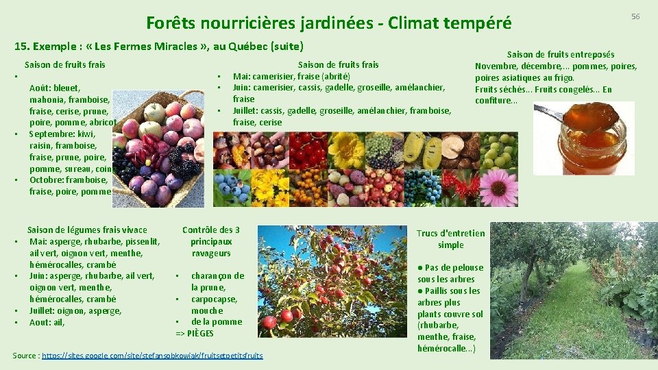 Forêts nourricières jardinées - Climat tempéré 15. Exemple : « Les Fermes Miracles »