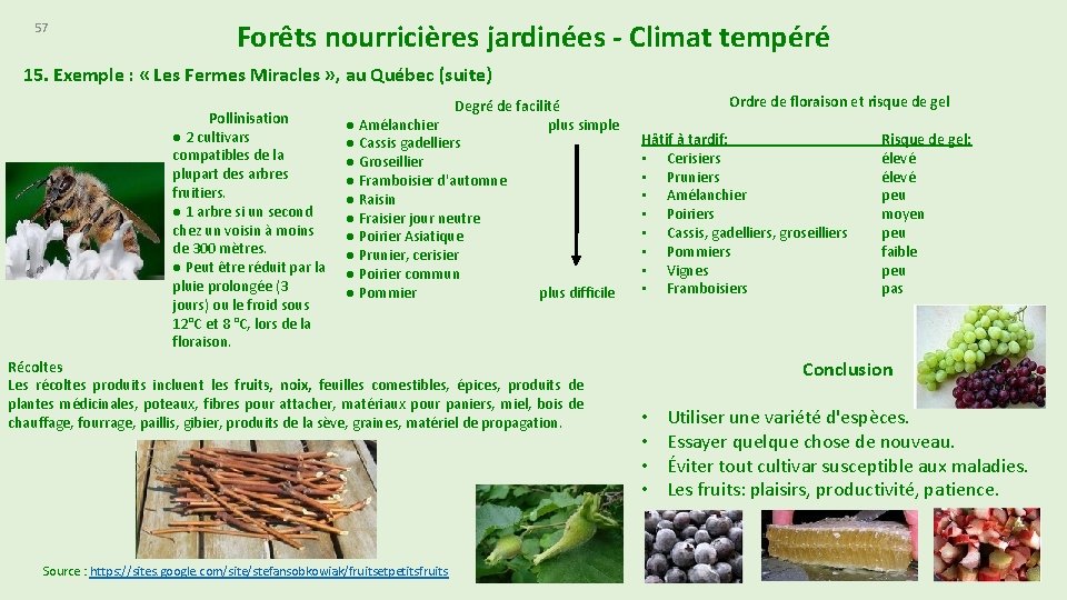 57 Forêts nourricières jardinées - Climat tempéré 15. Exemple : « Les Fermes Miracles