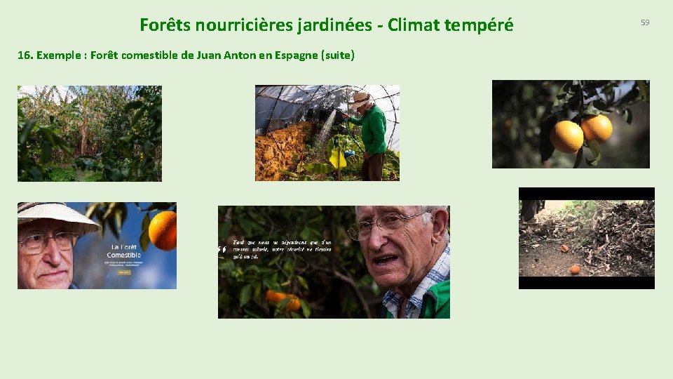 Forêts nourricières jardinées - Climat tempéré 16. Exemple : Forêt comestible de Juan Anton