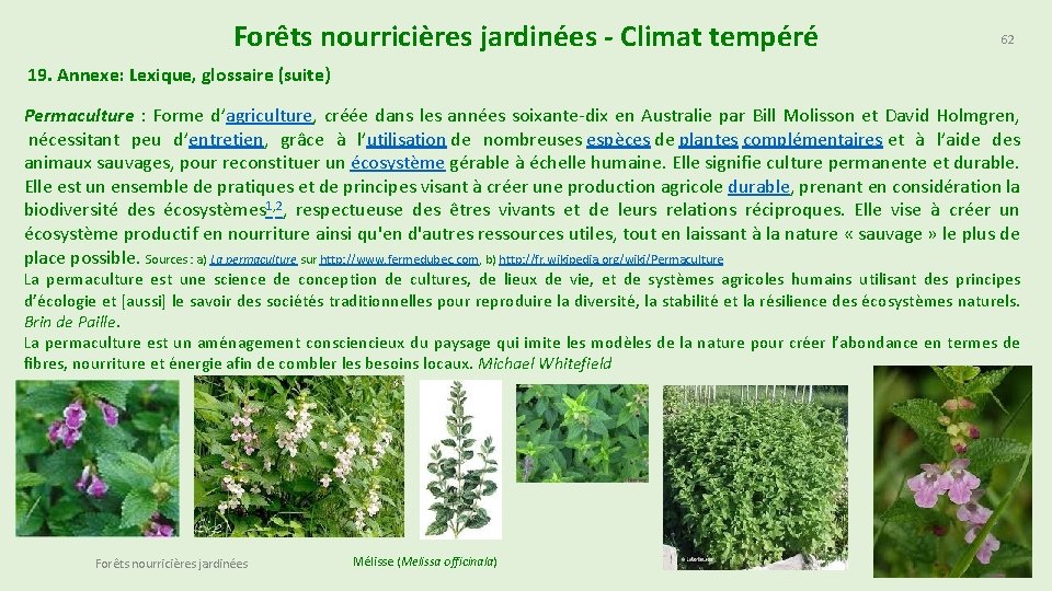 Forêts nourricières jardinées - Climat tempéré 62 19. Annexe: Lexique, glossaire (suite) Permaculture :