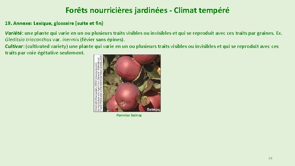 Forêts nourricières jardinées - Climat tempéré 19. Annexe: Lexique, glossaire (suite et fin) Variété: