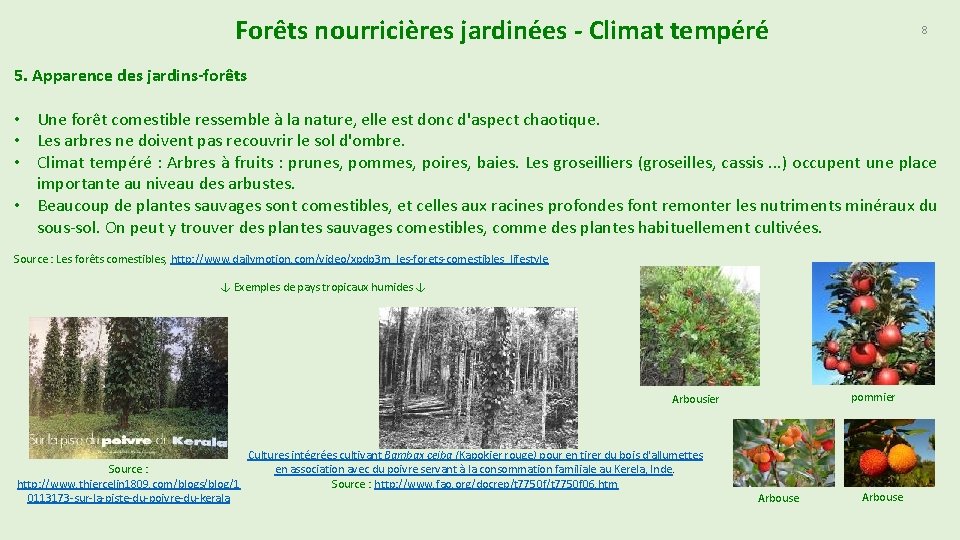 Forêts nourricières jardinées - Climat tempéré 8 5. Apparence des jardins-forêts • Une forêt