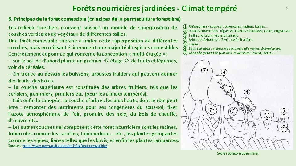 Forêts nourricières jardinées - Climat tempéré 9 6. Principes de la forêt comestible (principes