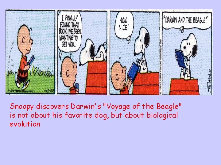 Snoopy discovers Darwin's "Voyage of the Beagle" is not about his favorite dog, but