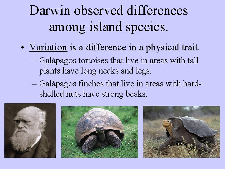 Darwin observed differences among island species. • Variation is a difference in a physical