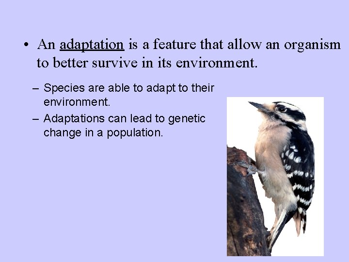  • An adaptation is a feature that allow an organism to better survive