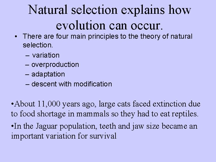 Natural selection explains how evolution can occur. • There are four main principles to