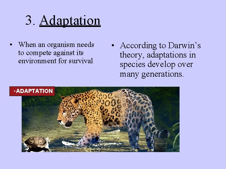 3. Adaptation • When an organism needs to compete against its environment for survival