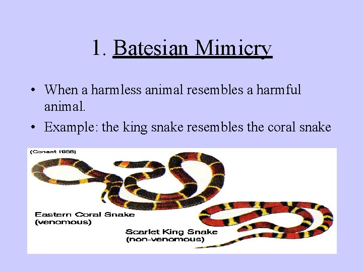 1. Batesian Mimicry • When a harmless animal resembles a harmful animal. • Example:
