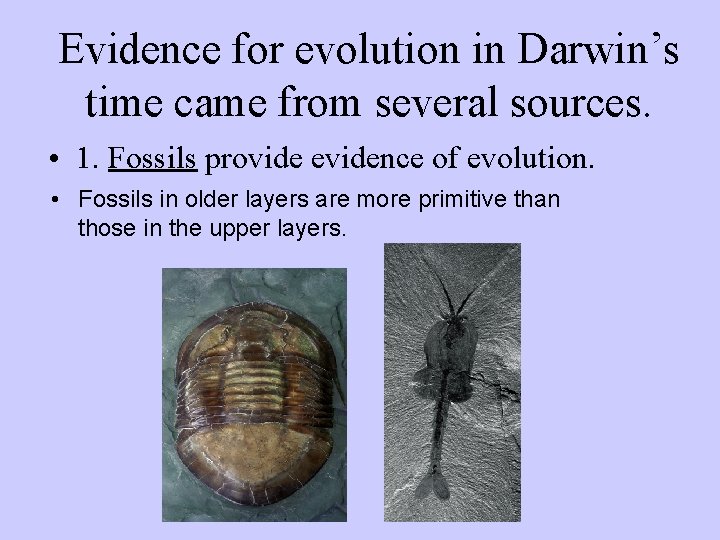 Evidence for evolution in Darwin’s time came from several sources. • 1. Fossils provide