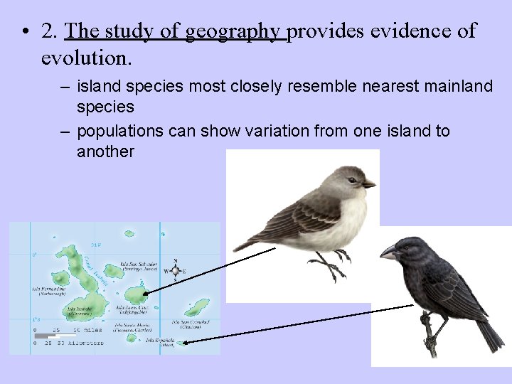  • 2. The study of geography provides evidence of evolution. – island species