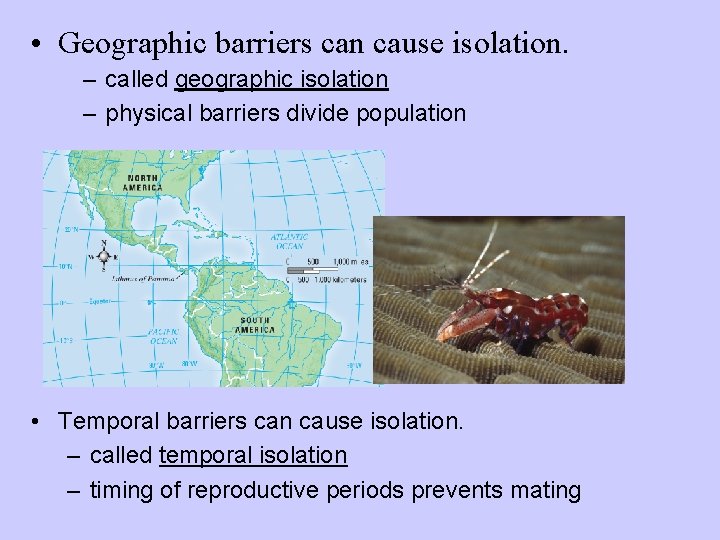  • Geographic barriers can cause isolation. – called geographic isolation – physical barriers