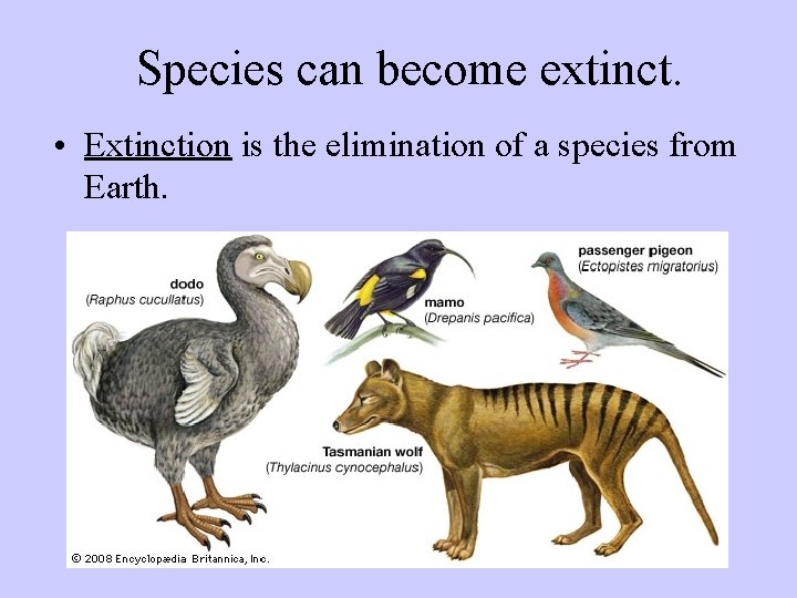 Species can become extinct. • Extinction is the elimination of a species from Earth.
