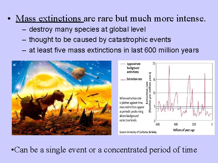  • Mass extinctions are rare but much more intense. – destroy many species