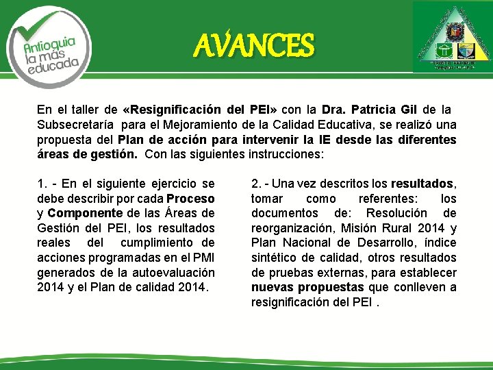 AVANCES En el taller de «Resignificación del PEI» con la Dra. Patricia Gil de