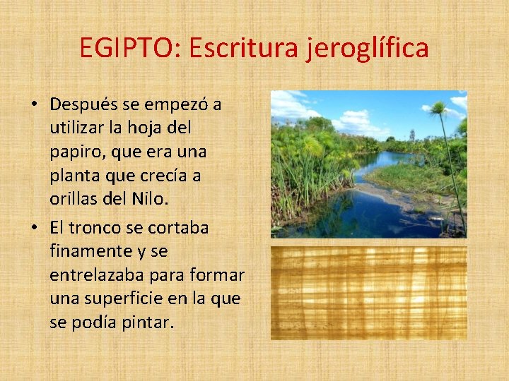 EGIPTO: Escritura jeroglífica • Después se empezó a utilizar la hoja del papiro, que EGIPTO: Escritura jeroglífica • Después se empezó a utilizar la hoja del papiro, que
