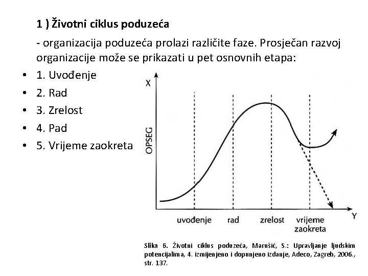 1 ) Životni ciklus poduzeća • • • - organizacija poduzeća prolazi različite faze.