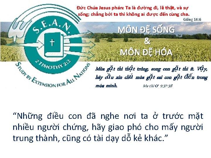 Đức Chúa Jesus phán: Ta là đường đi, lẽ thật, và sự sống; chẳng