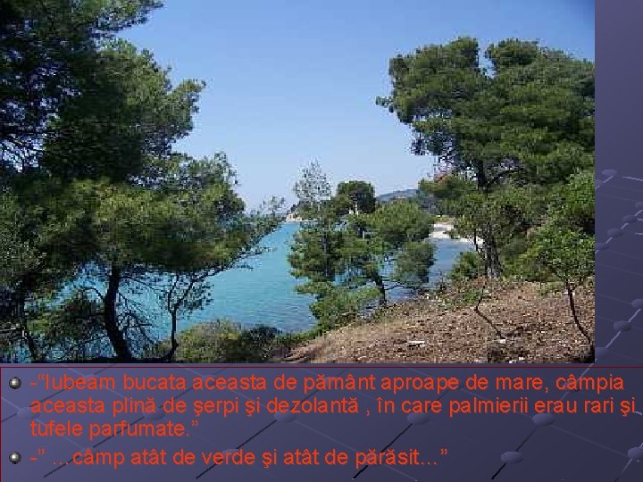 -“Iubeam bucata aceasta de pământ aproape de mare, câmpia aceasta plină de şerpi şi