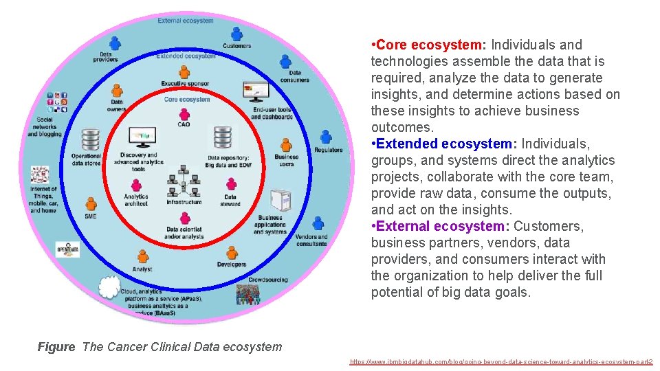  • Core ecosystem: Individuals and technologies assemble the data that is required, analyze
