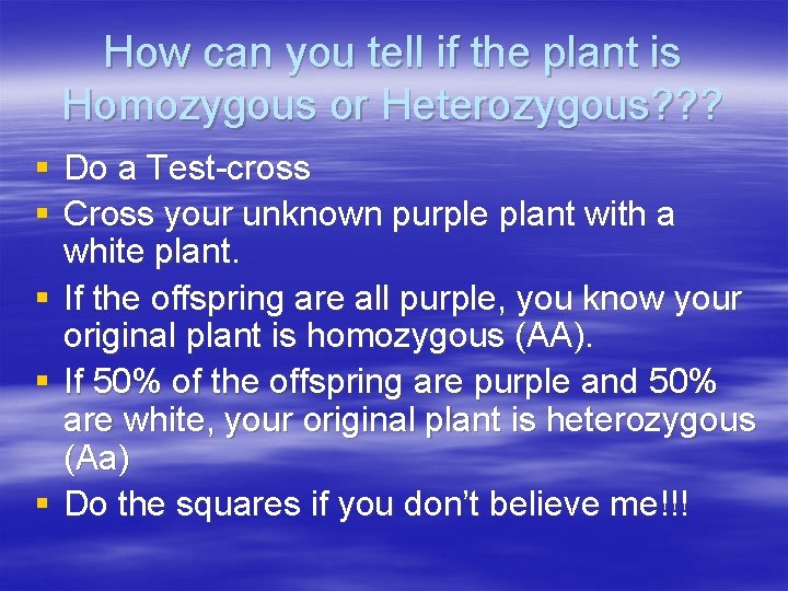 How can you tell if the plant is Homozygous or Heterozygous? ? ? §