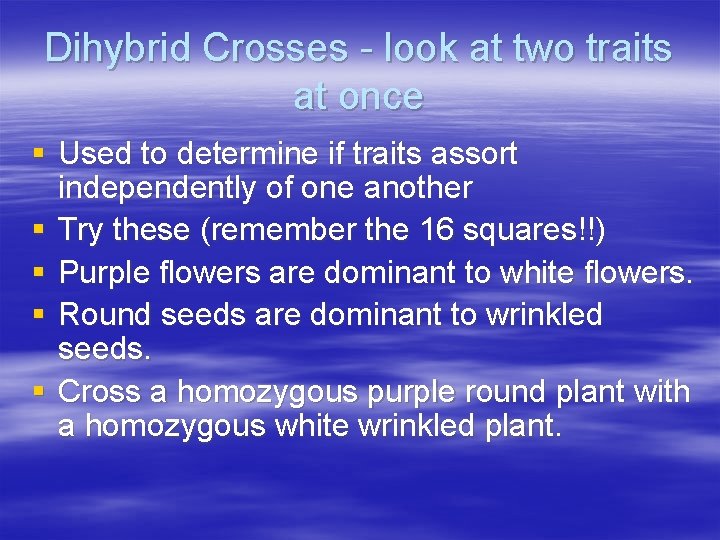 Dihybrid Crosses - look at two traits at once § Used to determine if