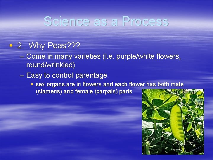 Science as a Process § 2. Why Peas? ? ? – Come in many