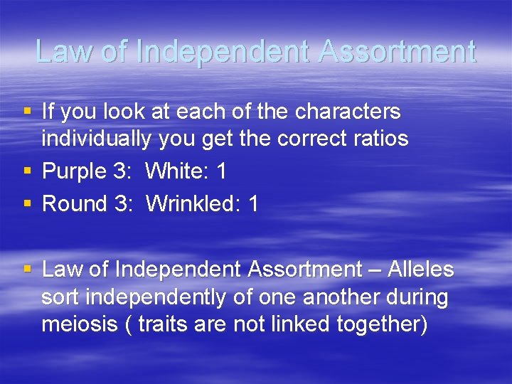 Law of Independent Assortment § If you look at each of the characters individually