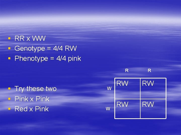 § § § RR x WW Genotype = 4/4 RW Phenotype = 4/4 pink