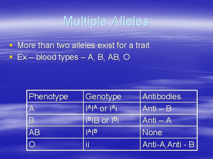 Multiple Alleles § More than two alleles exist for a trait § Ex –