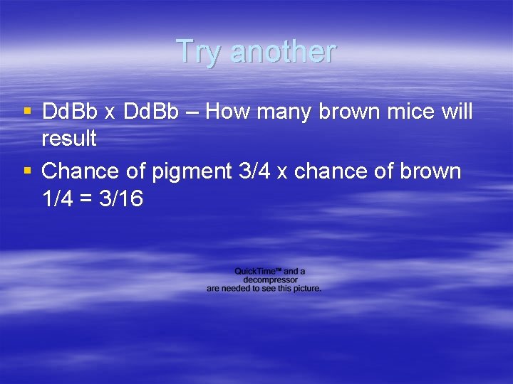 Try another § Dd. Bb x Dd. Bb – How many brown mice will