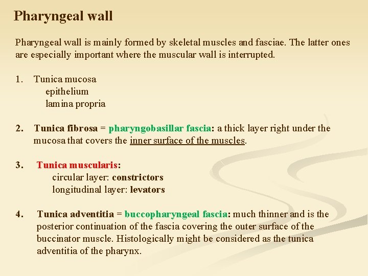 Pharyngeal wall is mainly formed by skeletal muscles and fasciae. The latter ones are