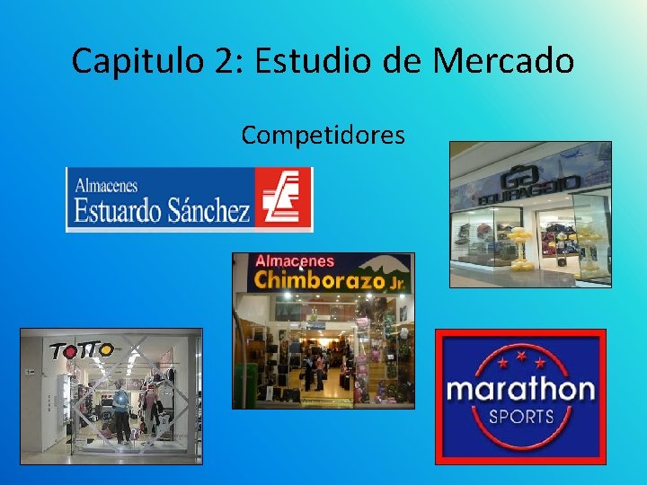 Capitulo 2: Estudio de Mercado Competidores 