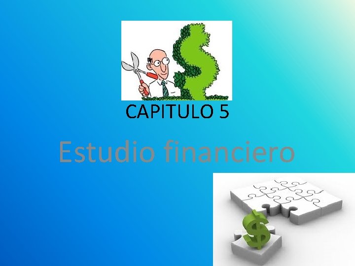 CAPITULO 5 Estudio financiero 