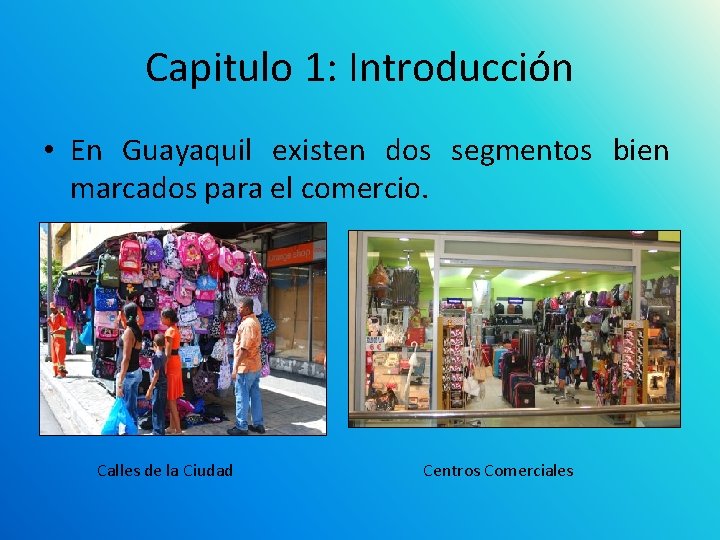Capitulo 1: Introducción • En Guayaquil existen dos segmentos bien marcados para el comercio.