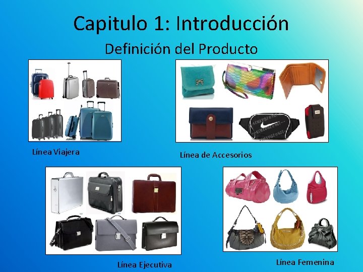Capitulo 1: Introducción Definición del Producto Línea Viajera Línea de Accesorios Línea Ejecutiva Línea