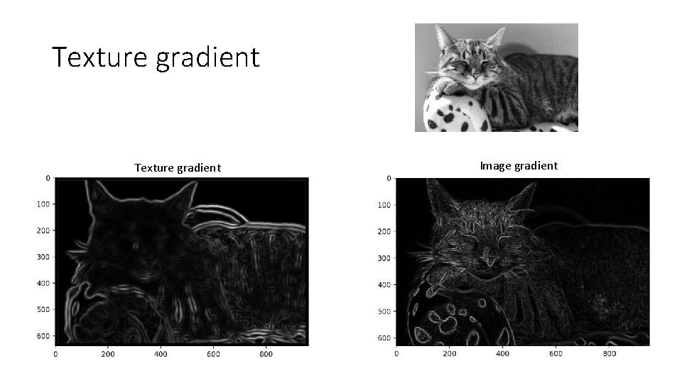 Texture gradient Image gradient 