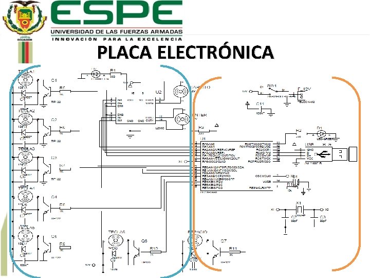 PLACA ELECTRÓNICA 