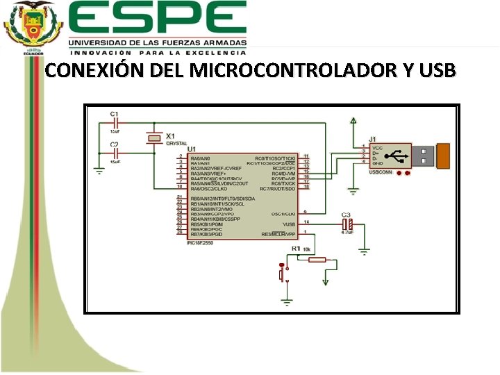 CONEXIÓN DEL MICROCONTROLADOR Y USB 