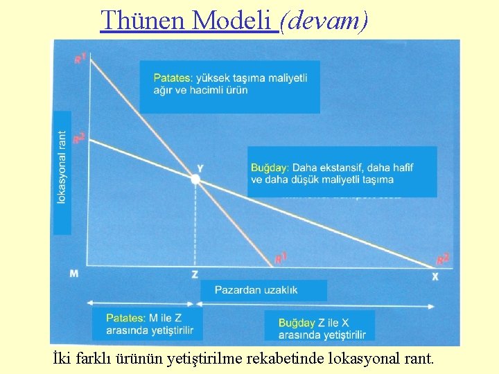 Thünen Modeli (devam) İki farklı ürünün yetiştirilme rekabetinde lokasyonal rant. 