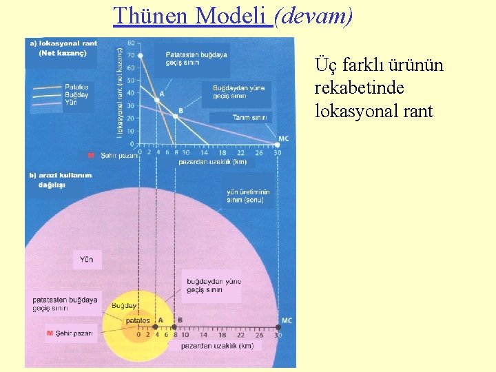 Thünen Modeli (devam) Üç farklı ürünün rekabetinde lokasyonal rant 