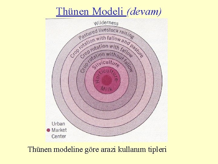 Thünen Modeli (devam) Thünen modeline göre arazi kullanım tipleri 