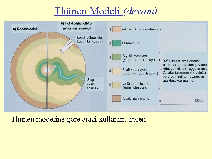 Thünen Modeli (devam) Thünen modeline göre arazi kullanım tipleri 