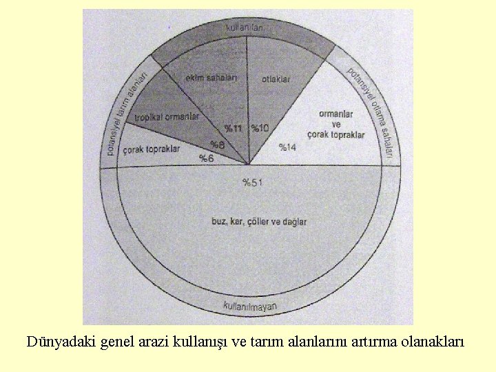 Dünyadaki genel arazi kullanışı ve tarım alanlarını artırma olanakları 