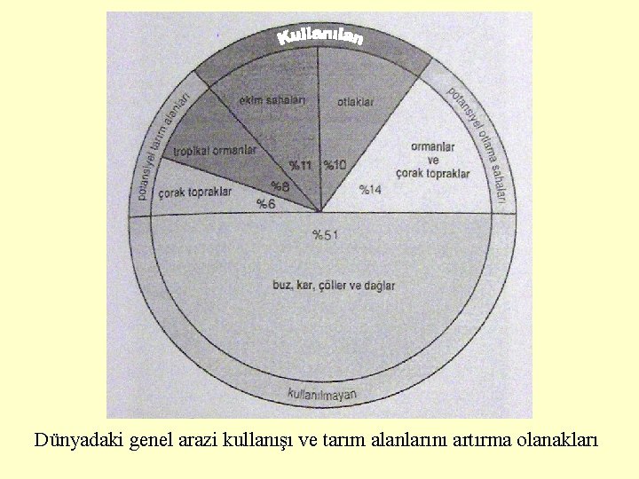 Dünyadaki genel arazi kullanışı ve tarım alanlarını artırma olanakları 
